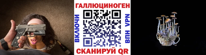 Купить  Колпашево  Галлюциногенные грибы Magic Shrooms 